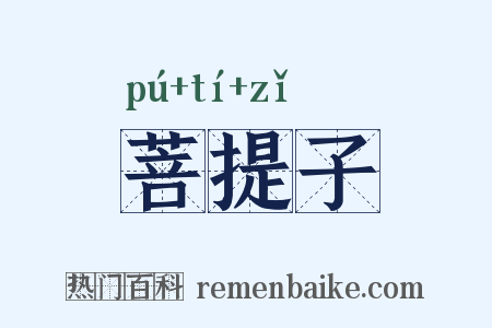 菩提子是什么意思的图片